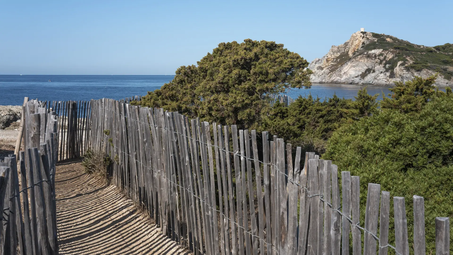Flore préservée de la presq'île du Gaou