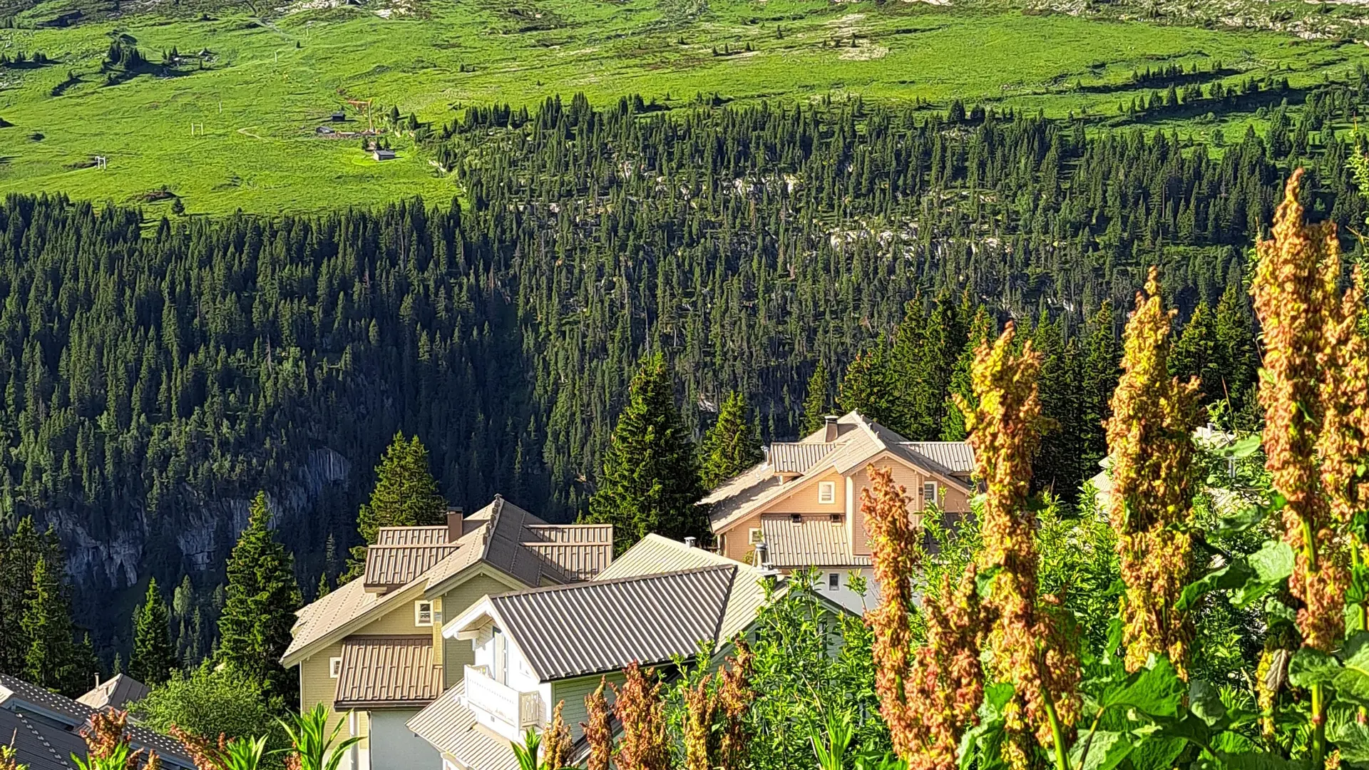 A summer mountain landscape with chalets nestled between green meadows and rugged rocky peaks.