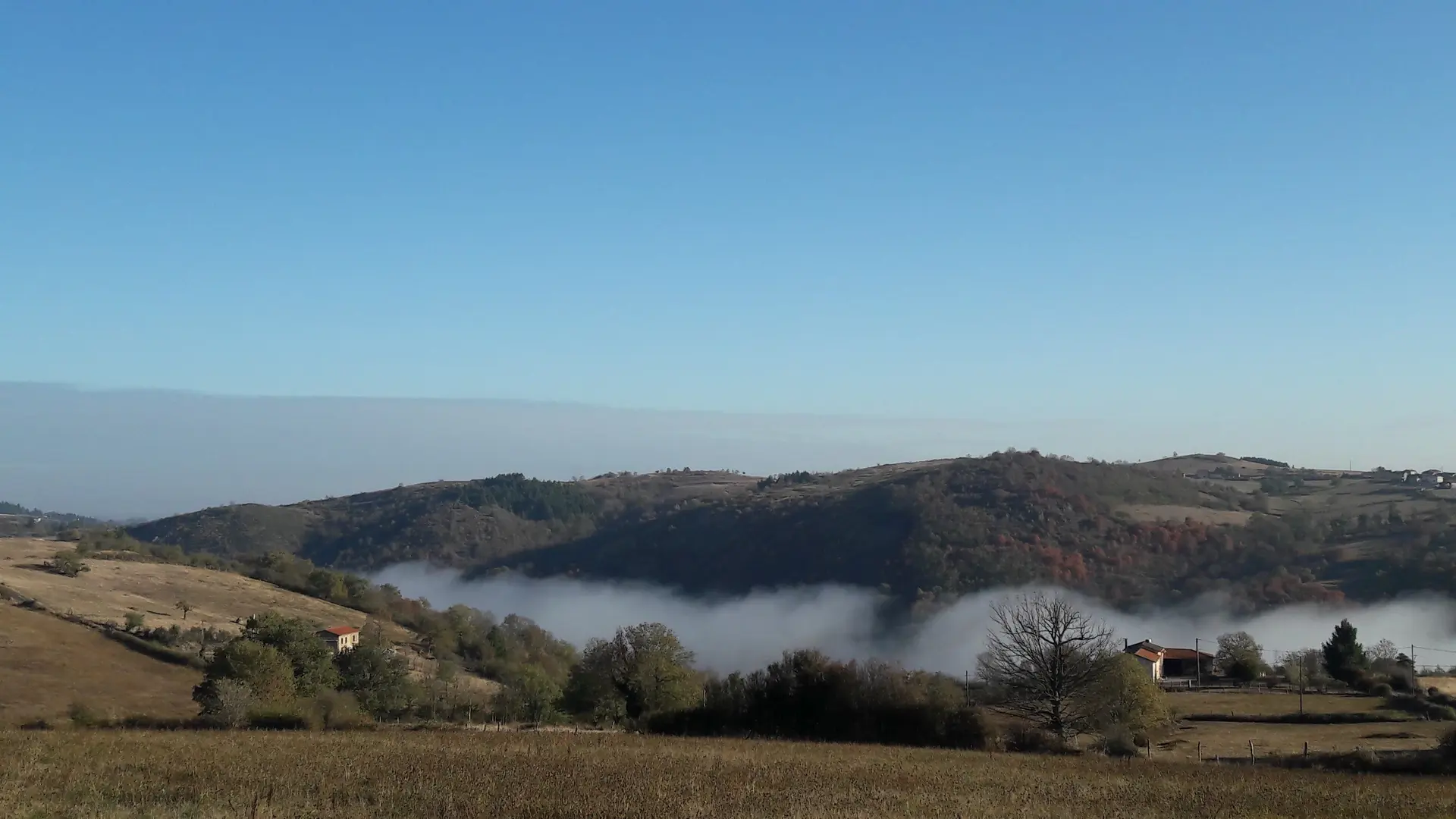 Brume de la Loire