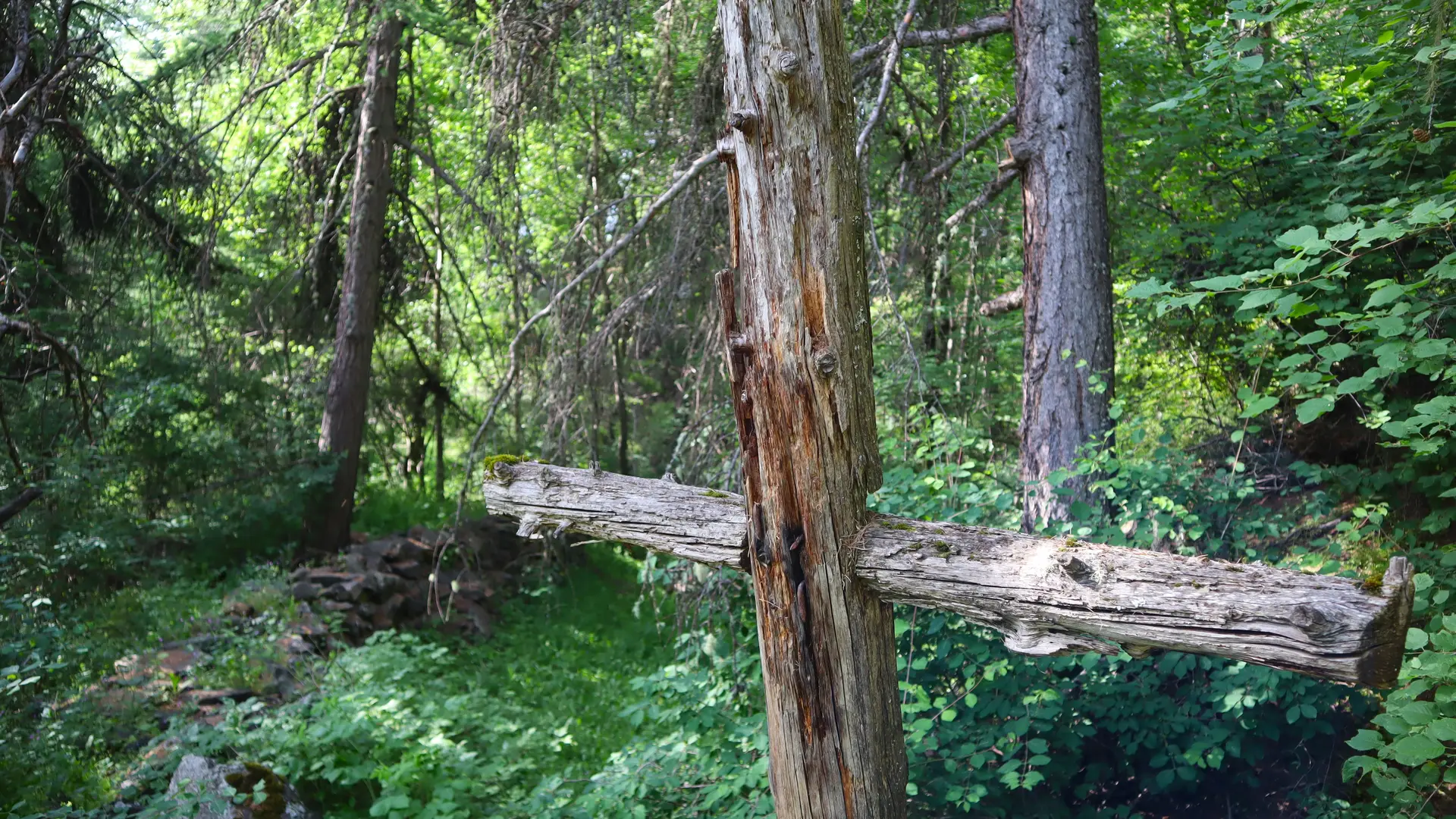 Les croix sont le seul signe du cimetière de la Peste qui n'a aucun autre dispositif de marquage de tombes.