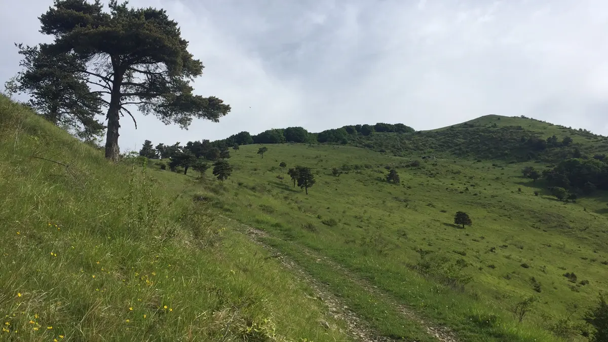 Itinéraire de randonnée jusqu'aux Sambucs, vallée du Valgaudemar