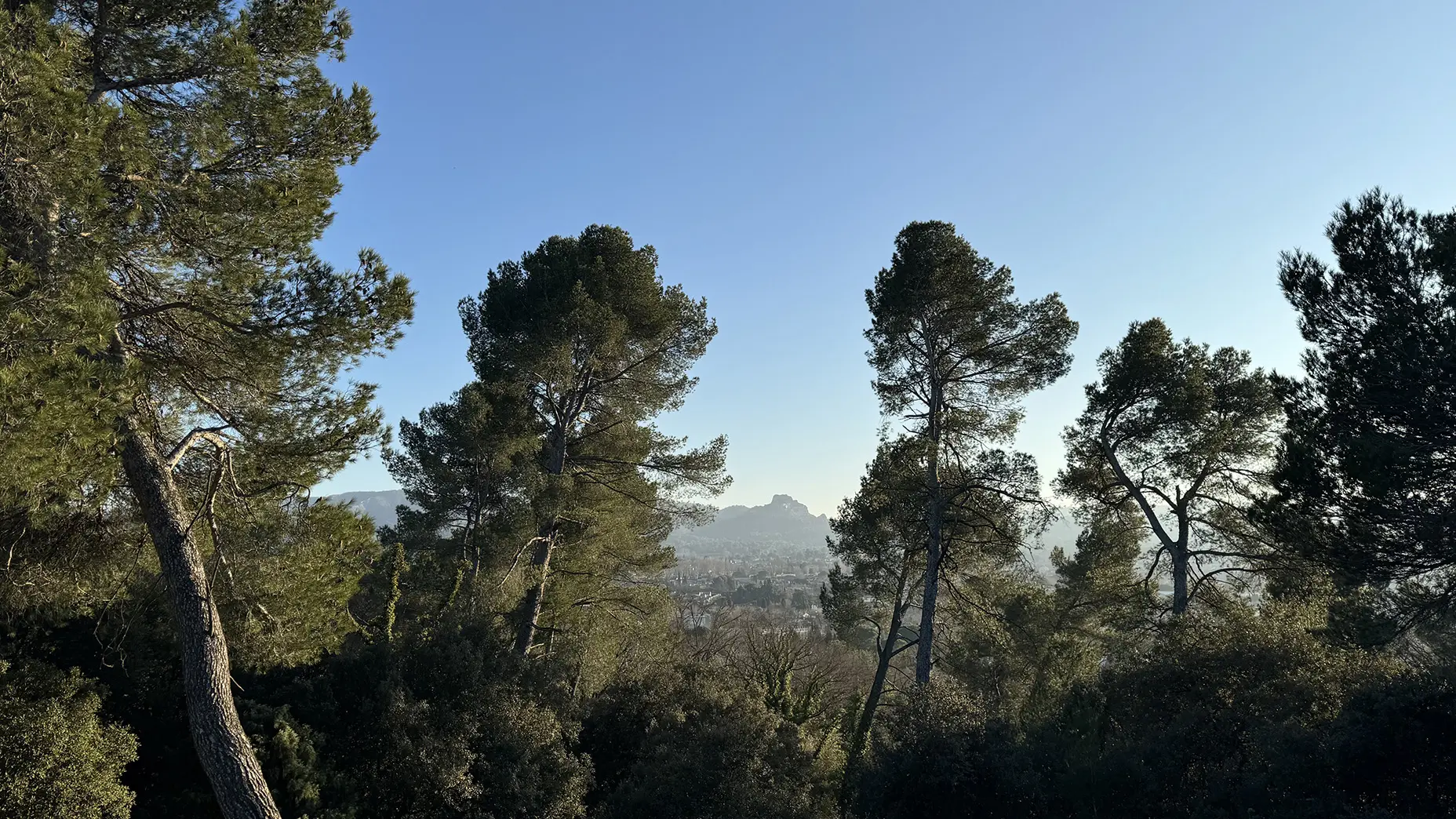 Plateau de la crau_Saint-Rémy-de-Provence