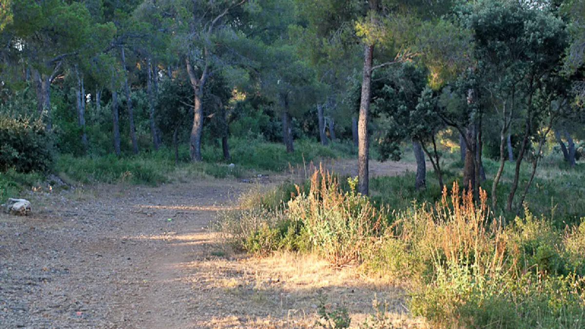 Sentier de randonnée