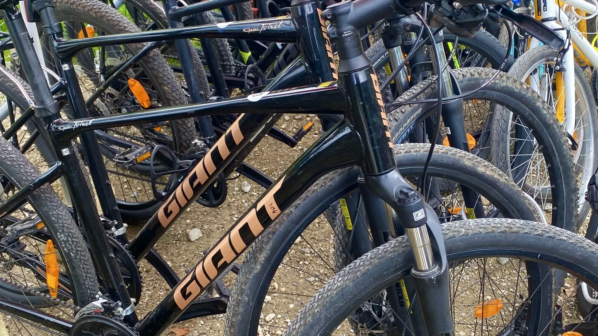 Vélo sans assistance location Osmoz'