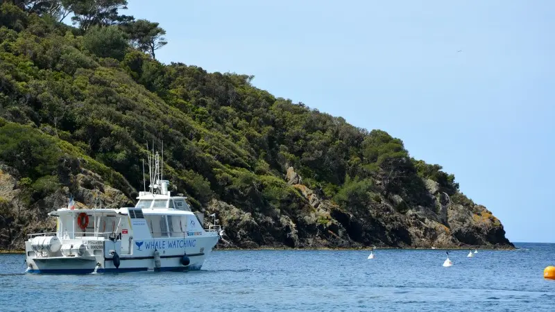 Espace mer, excursions en bateau