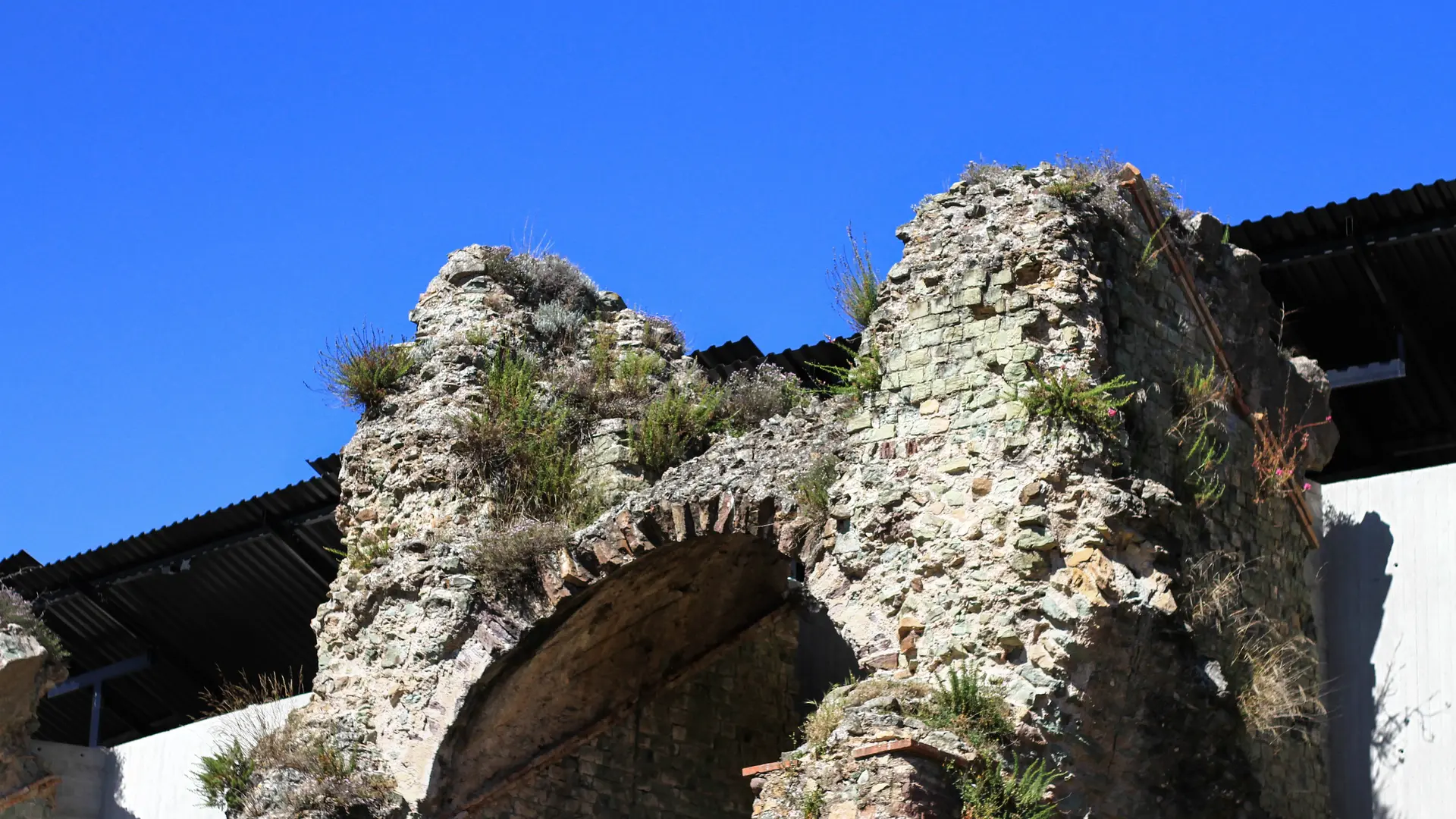 Arènes de Fréjus