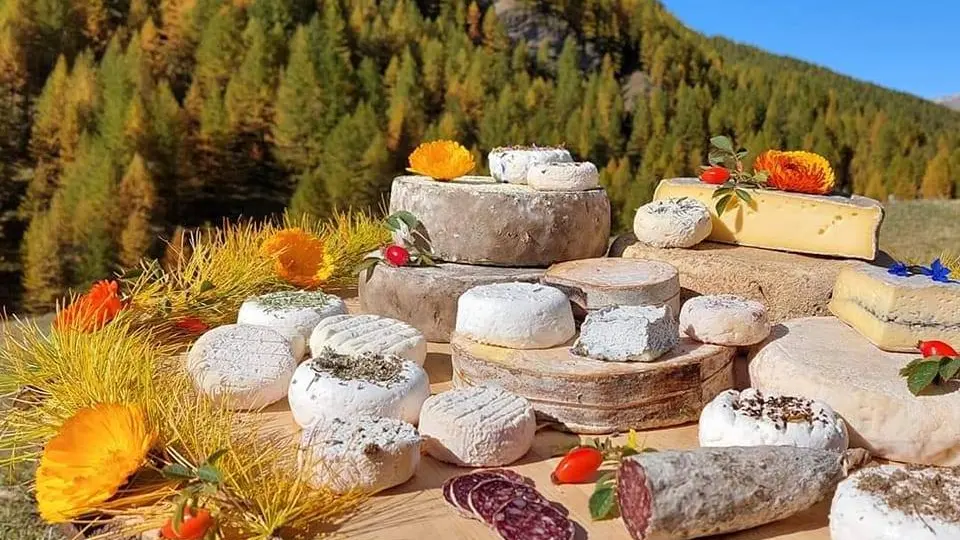 Notre plateau de fromages en automne