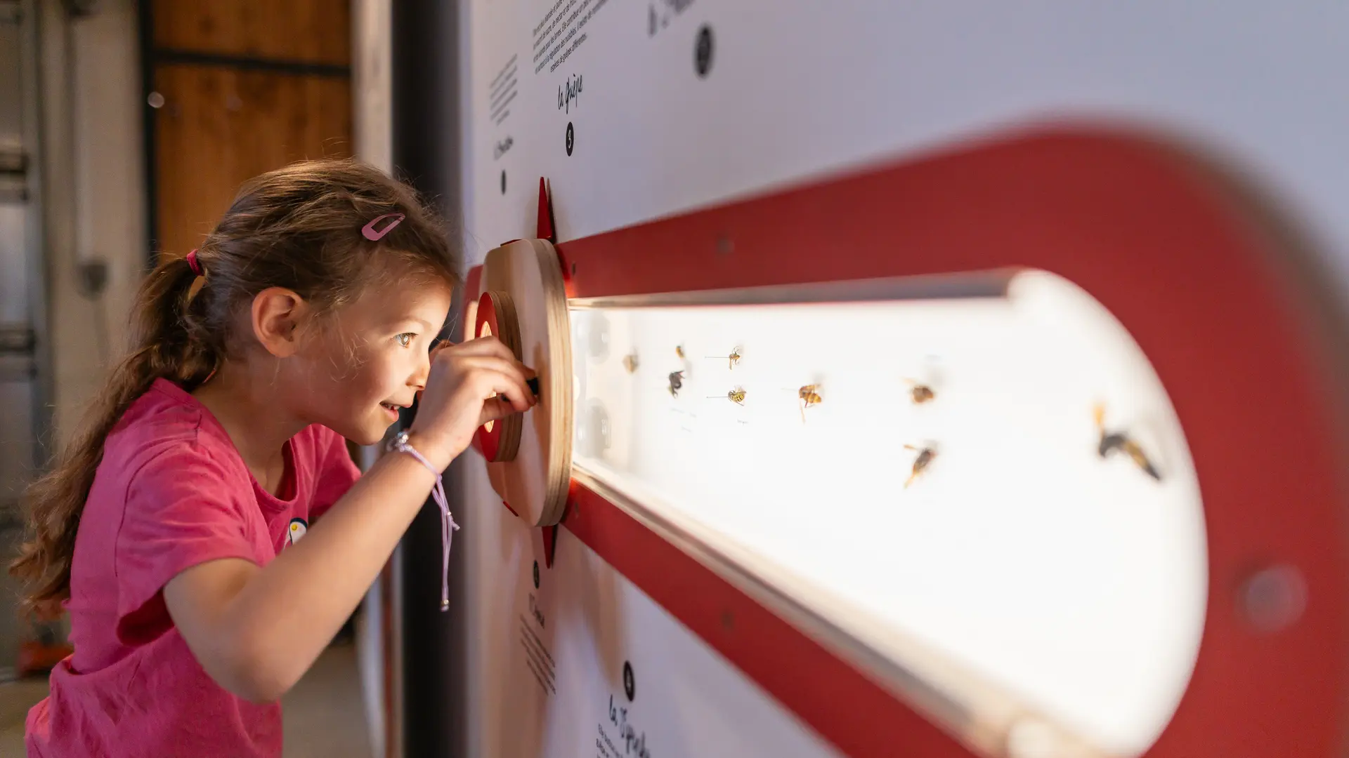 Miellerie découverte