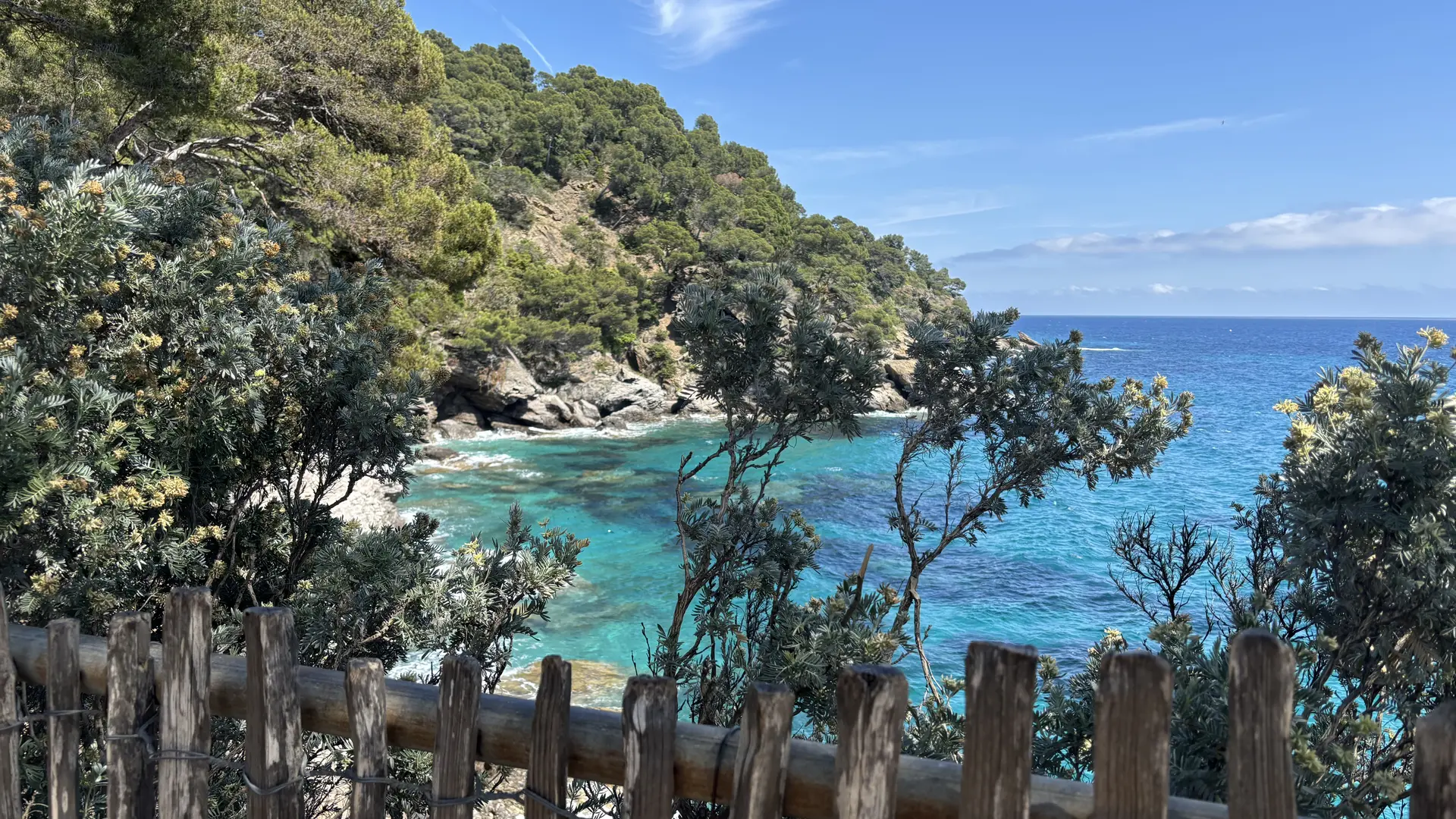 Le flamant rose de Lilo Salins