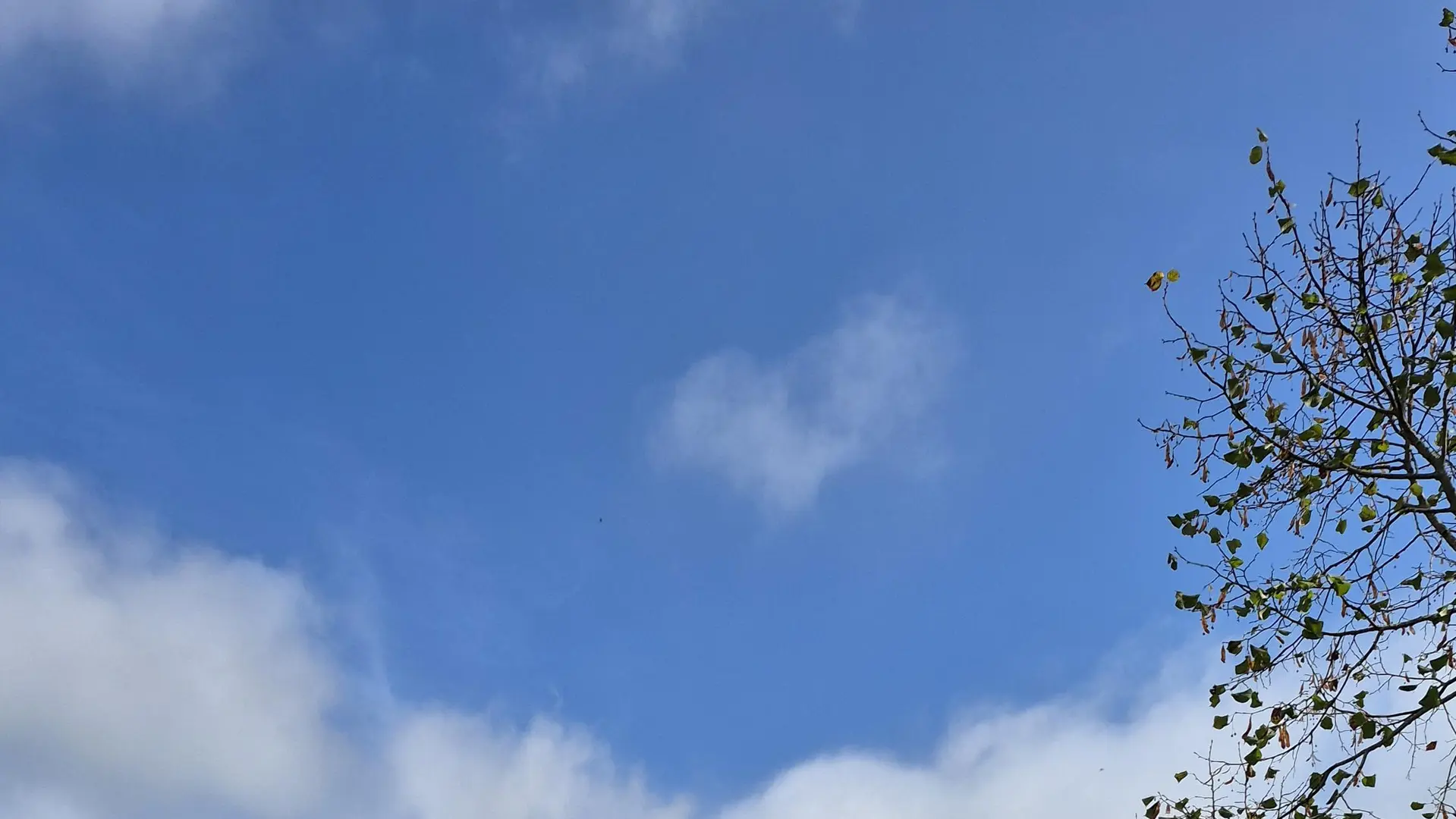 Jacuzzi, vue sur le paysage
