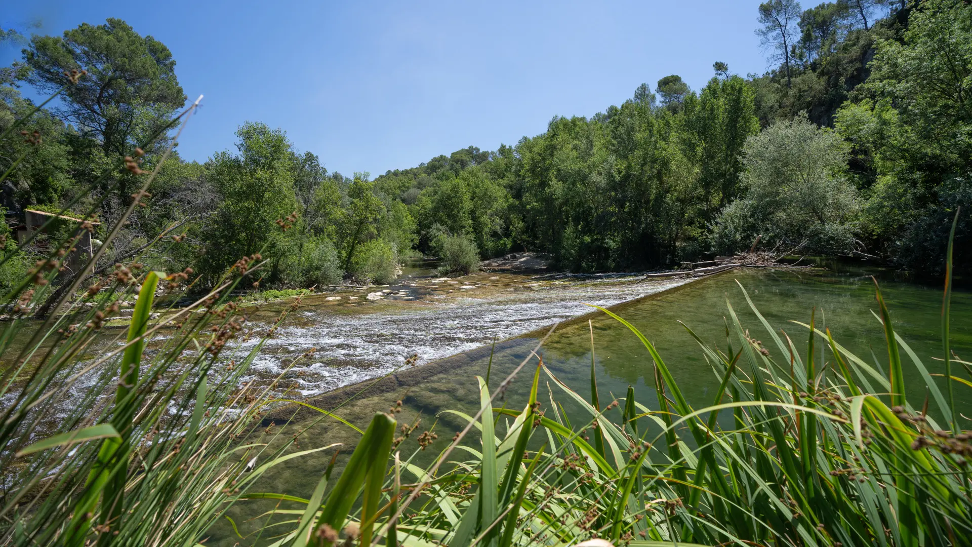 Ecluse sur l'Argens_Correns