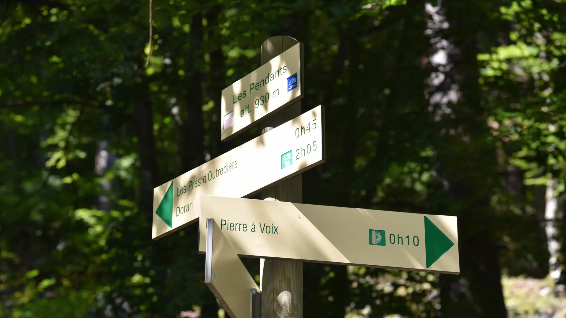 signalétique au croisement du sentier du Gypaète