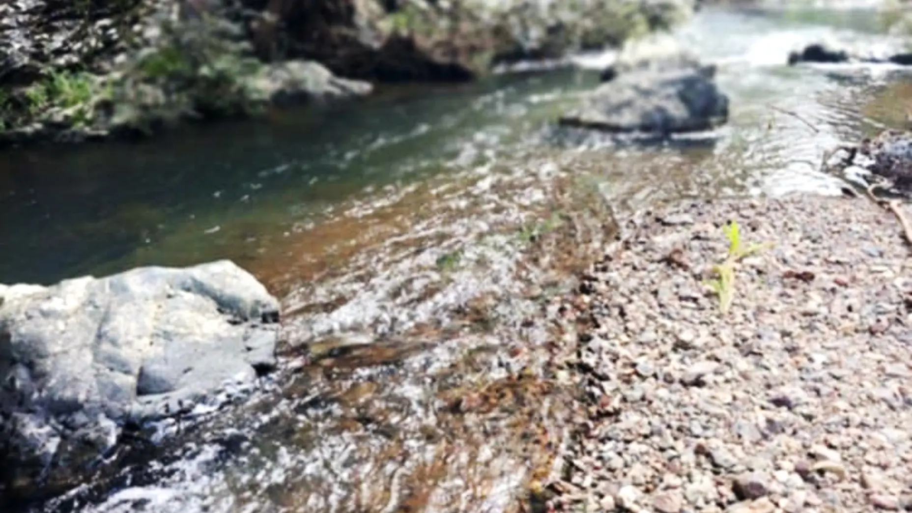 Rivière
