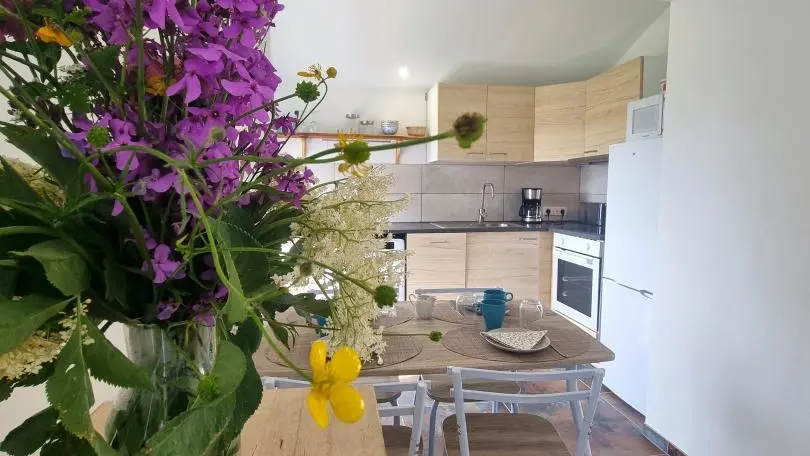 Cuisine intégrée avec espace repas.