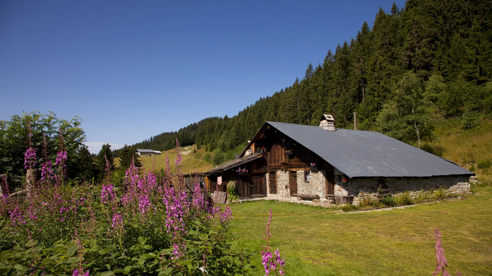 Le Planay