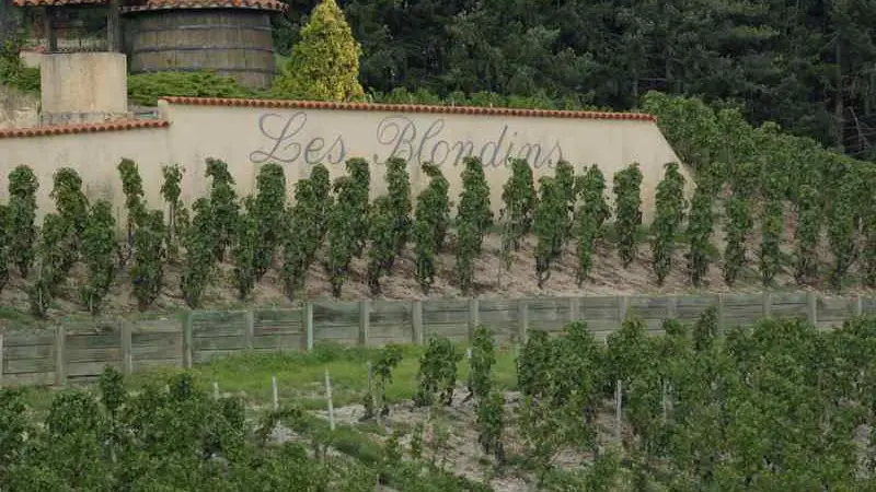 Domaine des Blondins