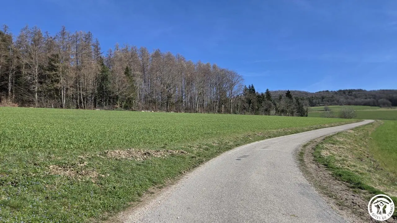 Route menant au gîtes