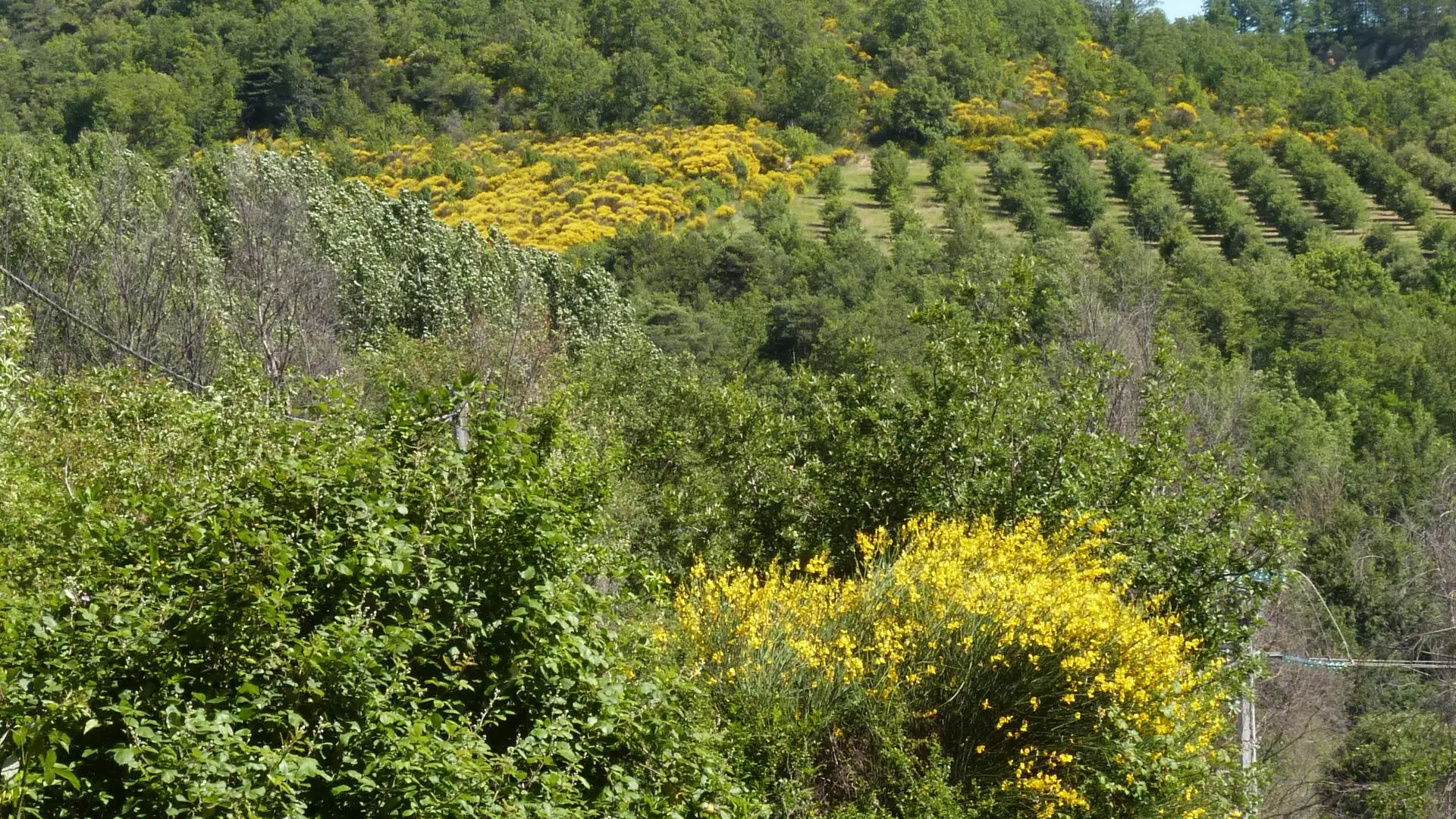 Butte de Notre Dame de Belllevue