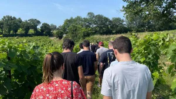 Au coeur du vignoble au Domaine  Le Novi_La Tour-d'Aigues