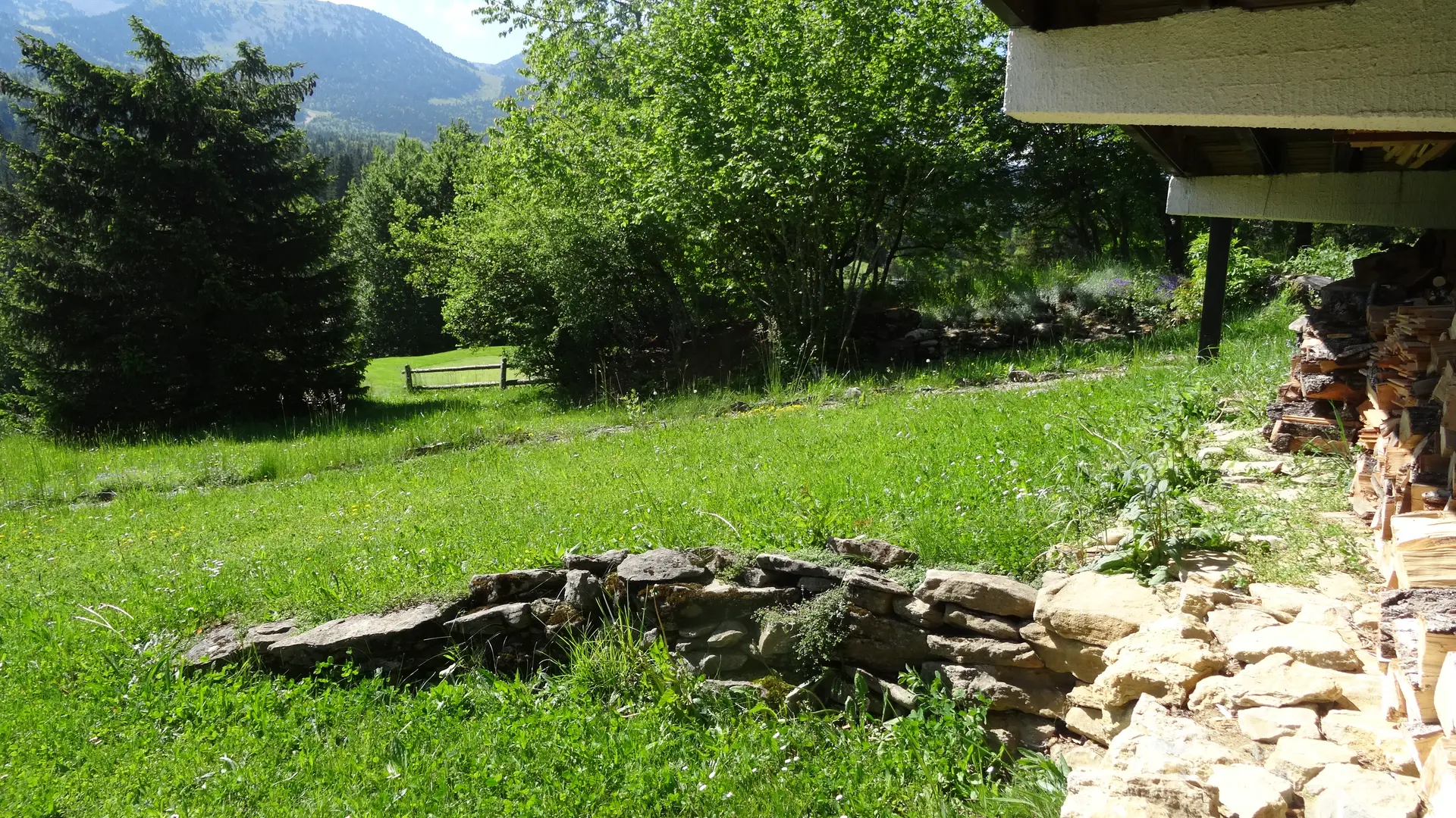 jardin