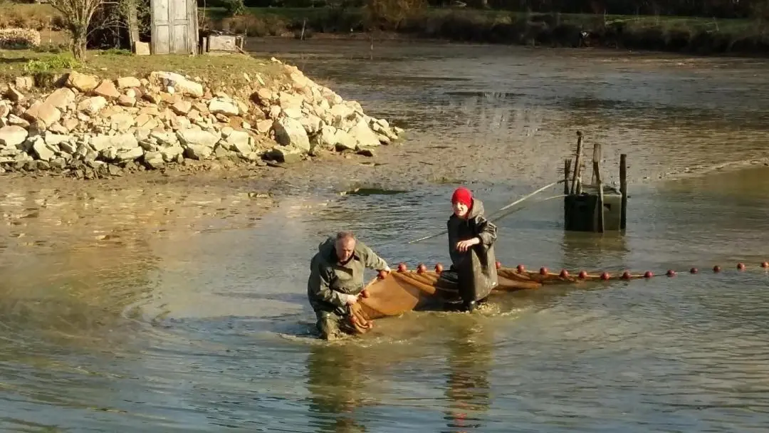 pêche de l'étang