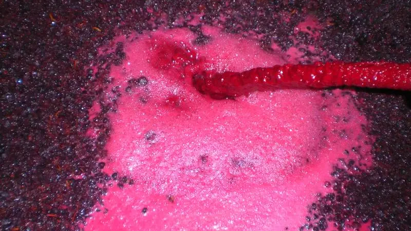 Vinification