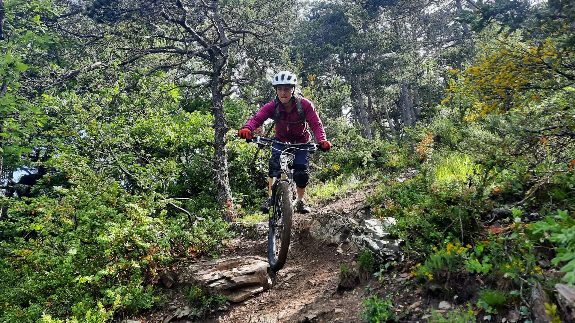 Quelques sentiers techniques