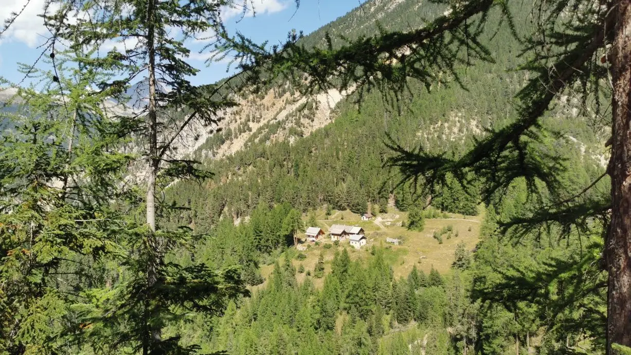 Chalets du Vallon - Val-des-Prés