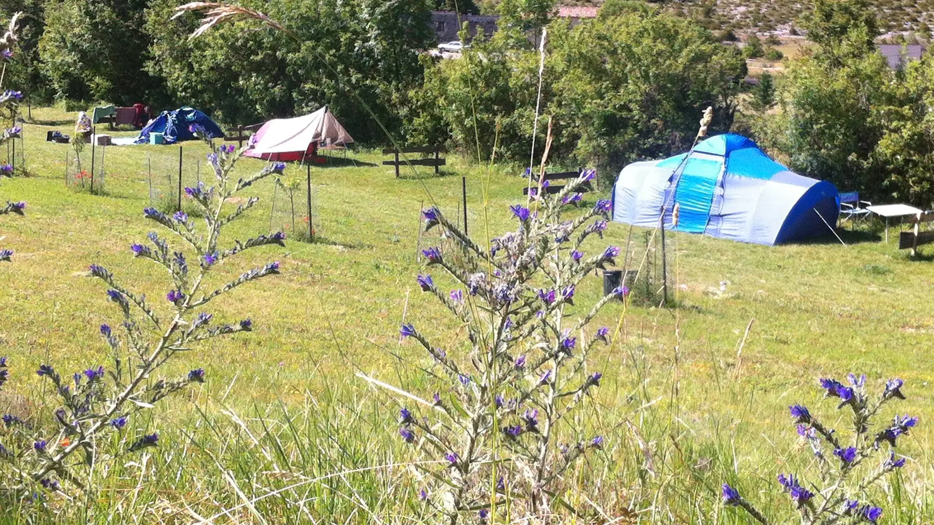 Camping à la ferme Verdon