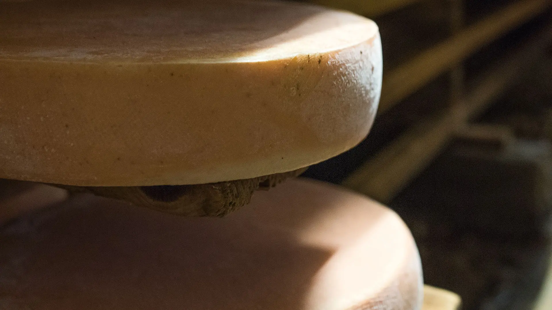 Fromage d'Abondance en affinage dans la cave