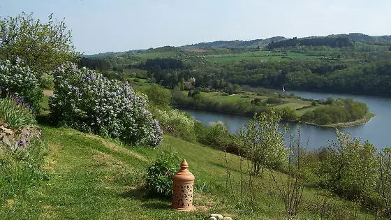 vue