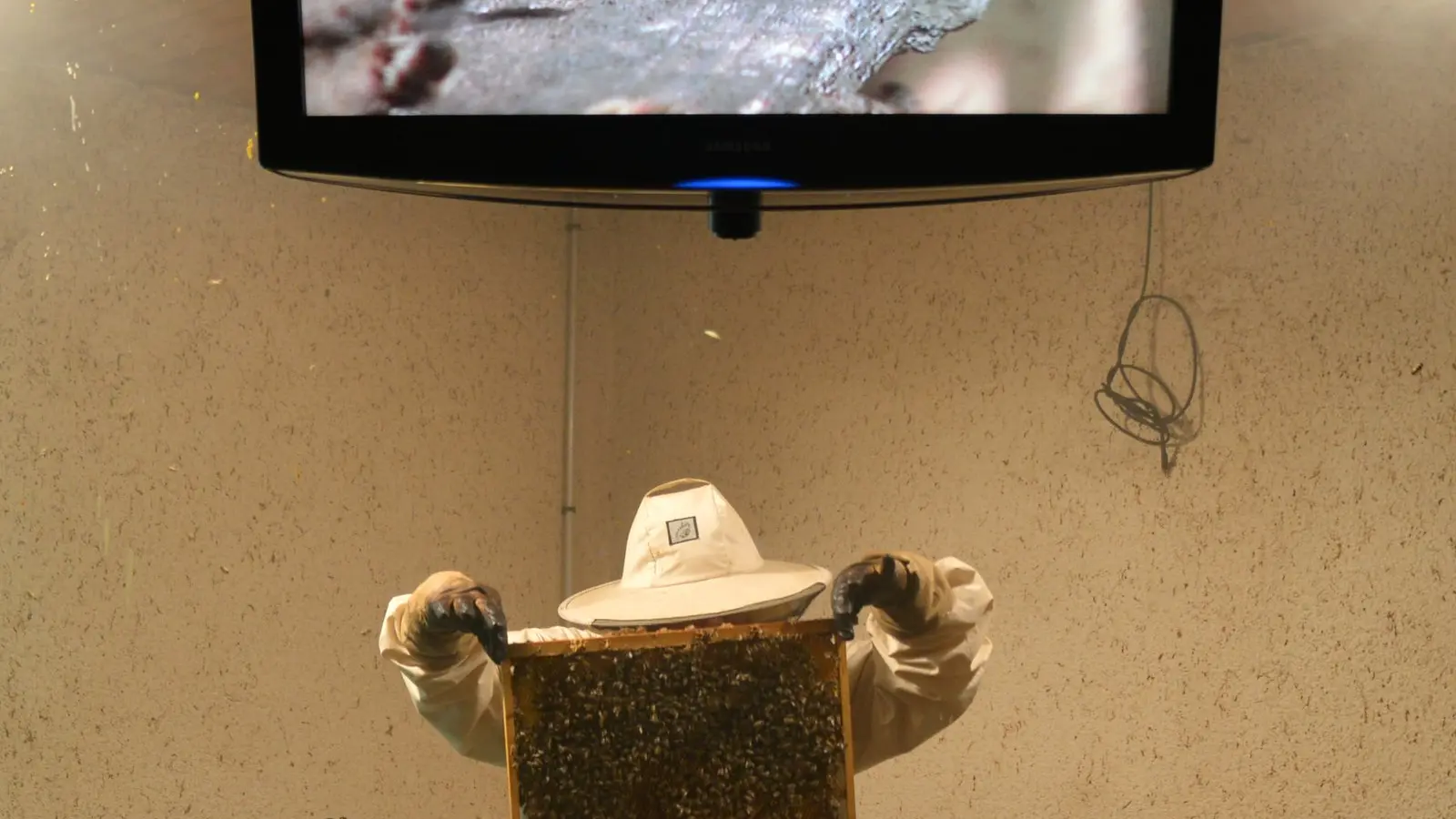 Ouverture d'une ruche