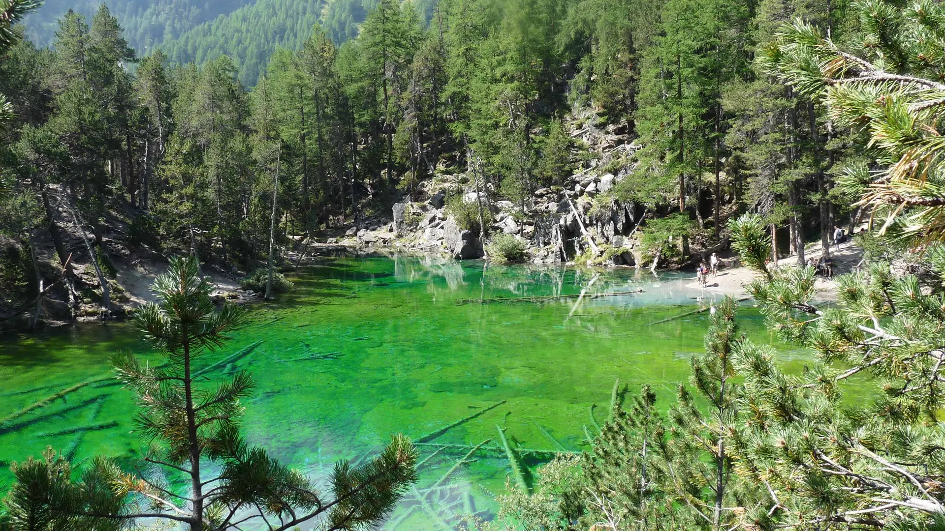Lac vert