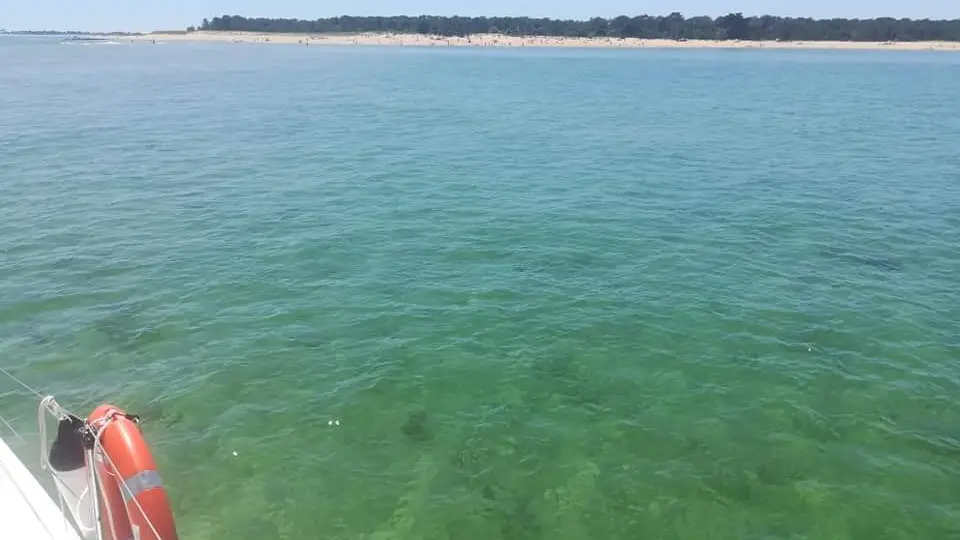 Océan et plage de l'île de ré