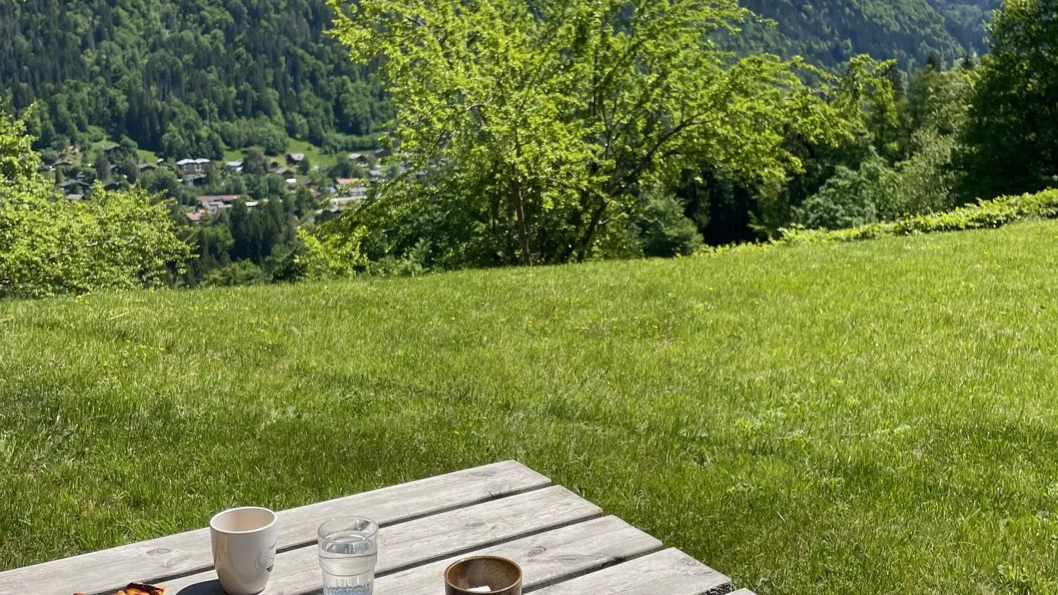 Le jardin et la vue