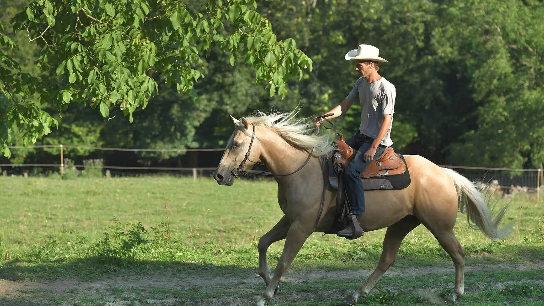 Randonnée équestre