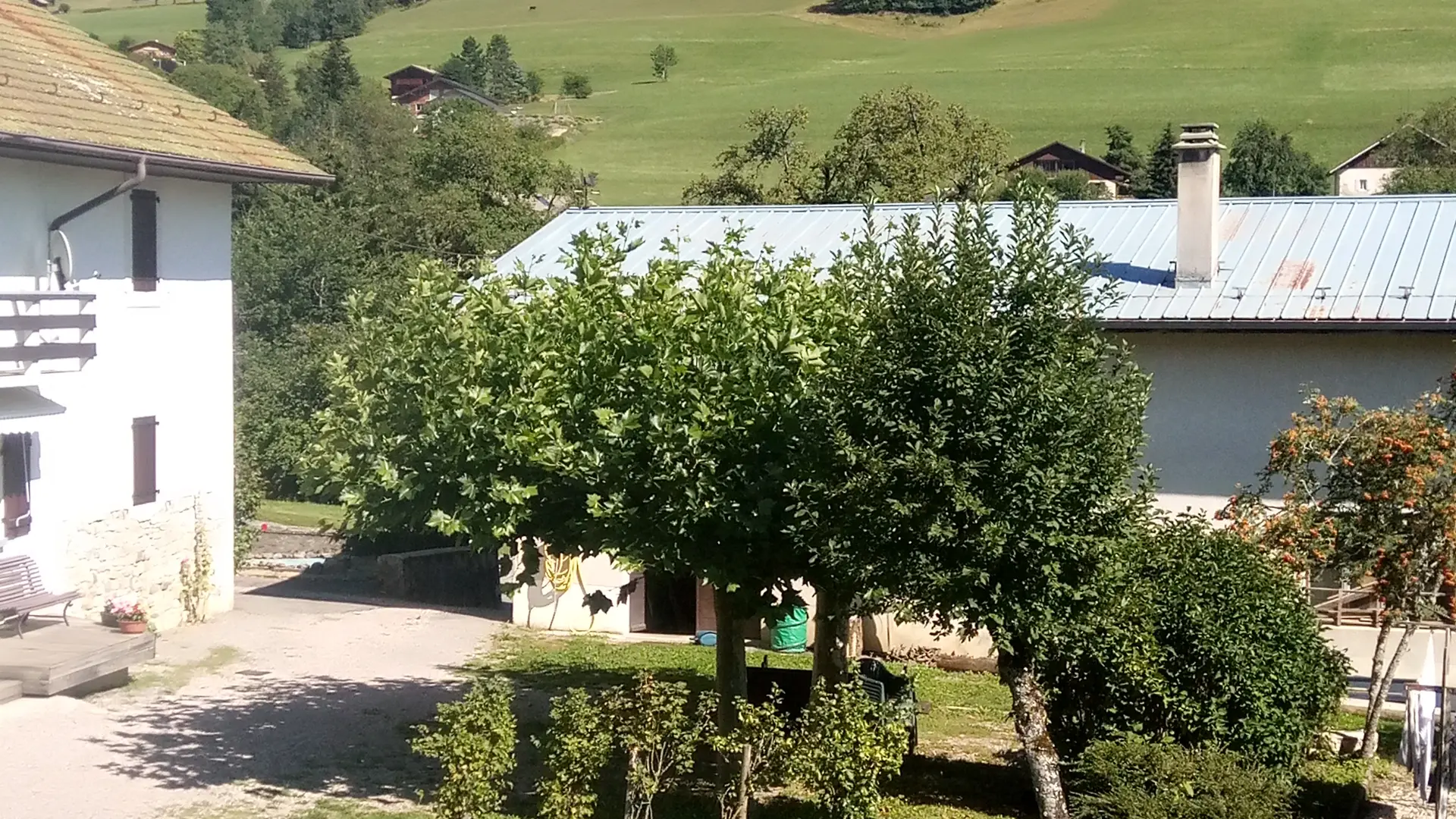 Brioche et Baldaquin