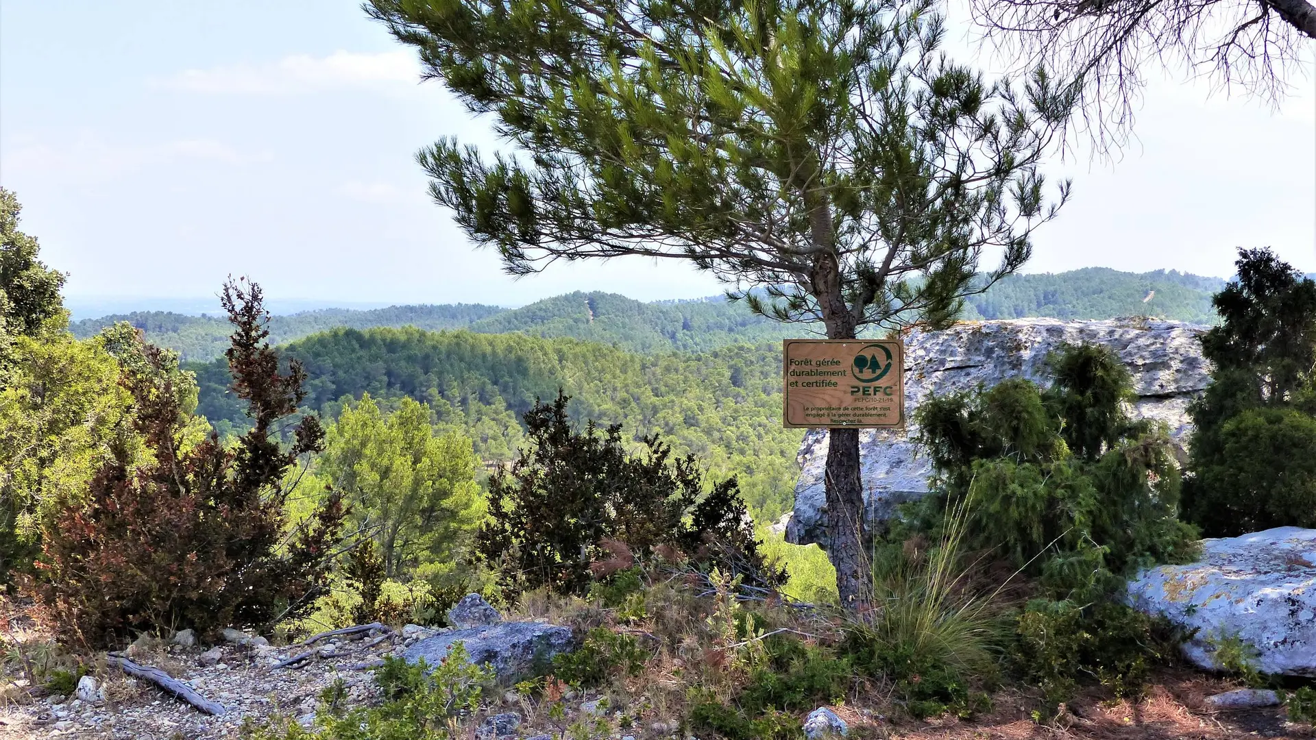 Aux abords du vallon de la Lèque