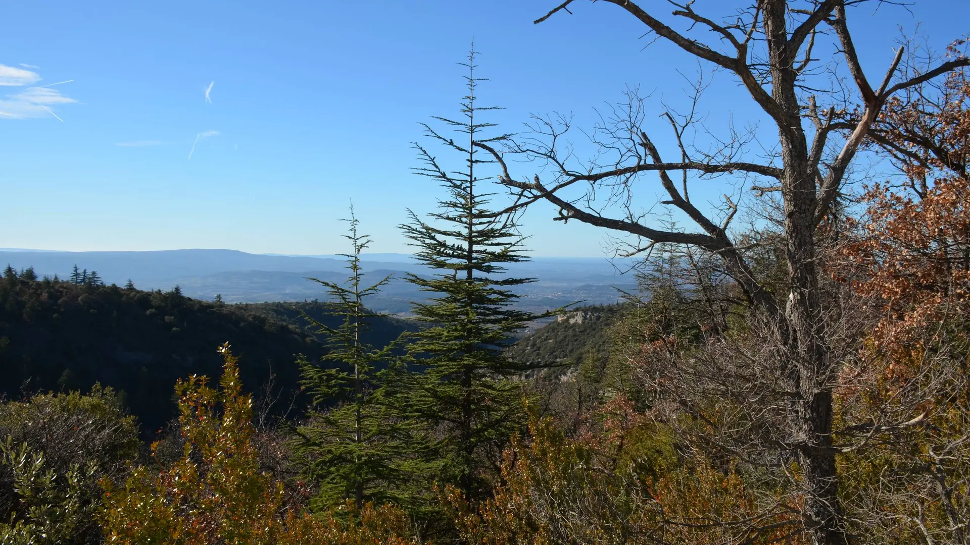 Vue sur les Monts de Vaucluse