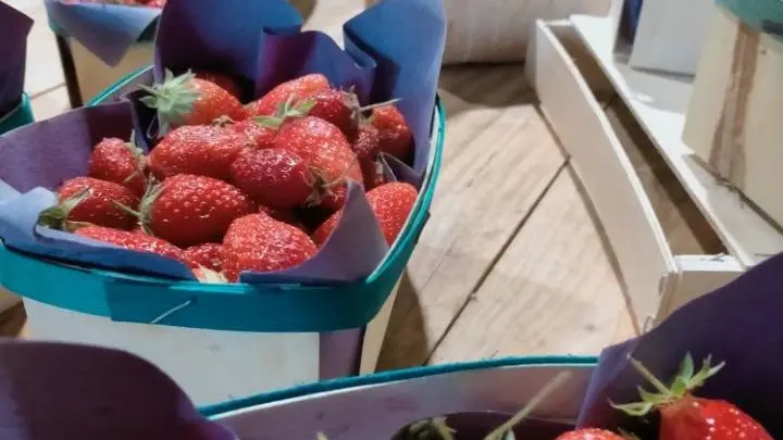 Barquettes de fraises