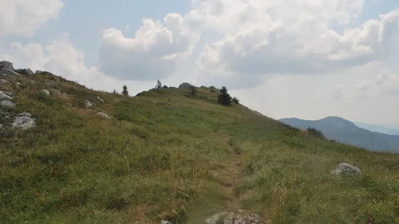 Entre les montagnes de la Sarcéna et de l'Aup