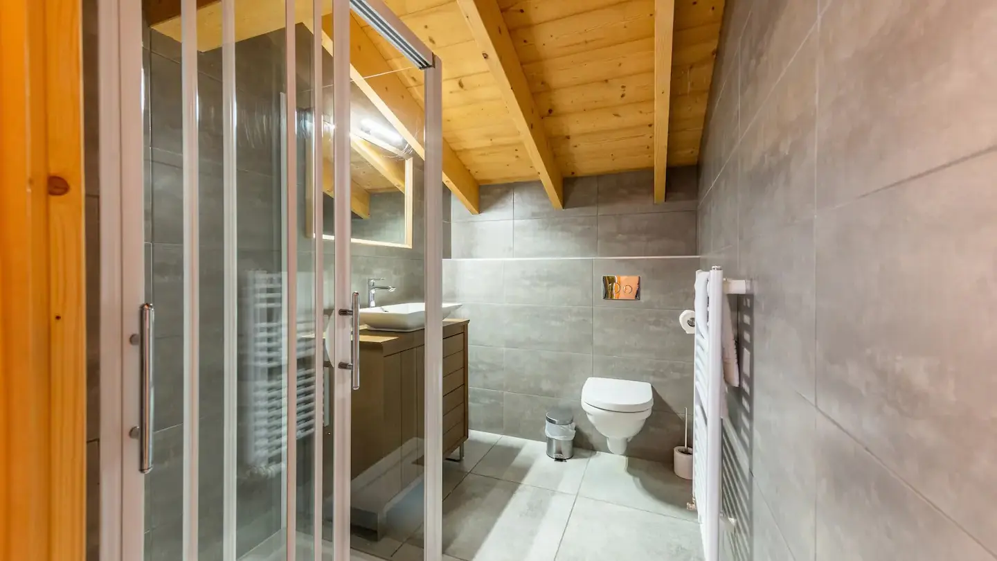 Salle de bains avec douche, toillettes, sèche serviettes, vasque