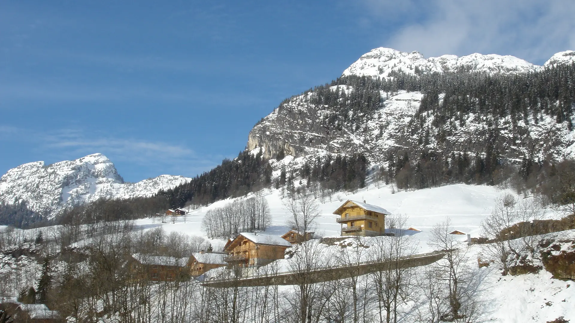 Vue