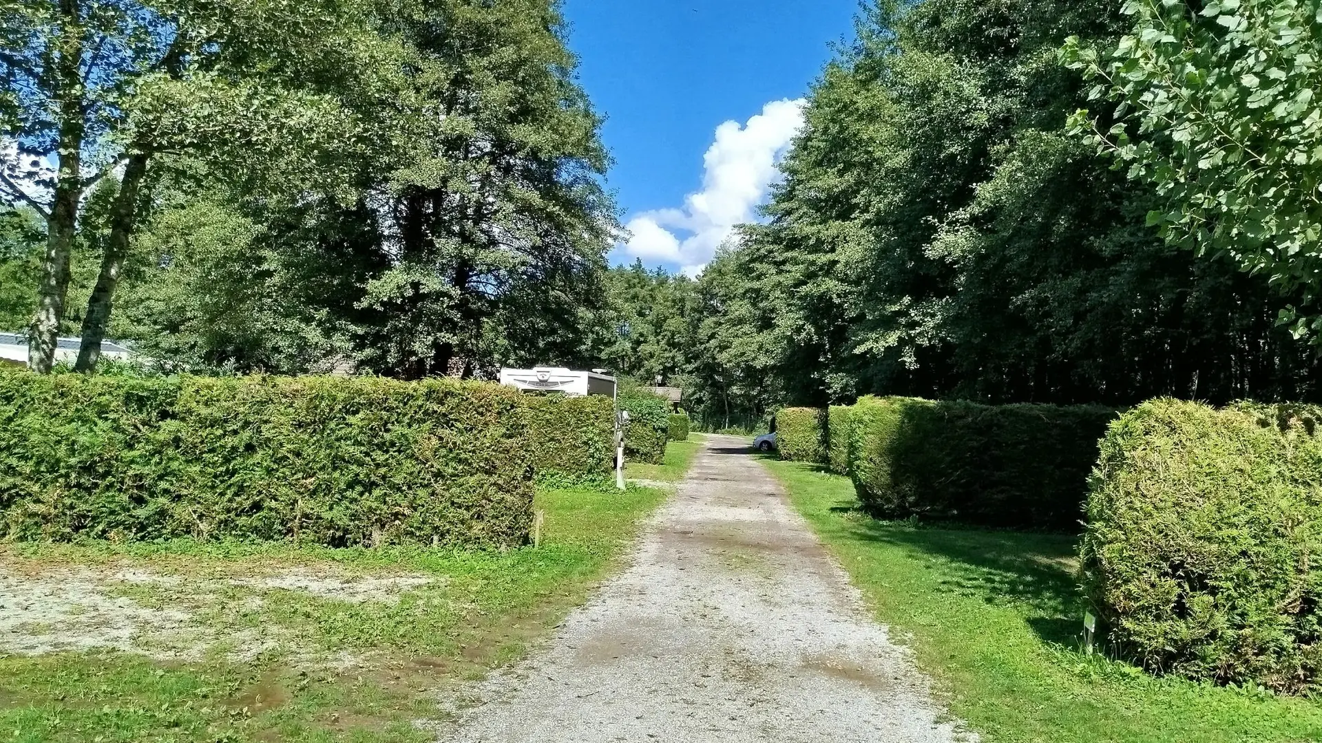 emplacement camping vert, avec des haies qui sépare les places, ombragées