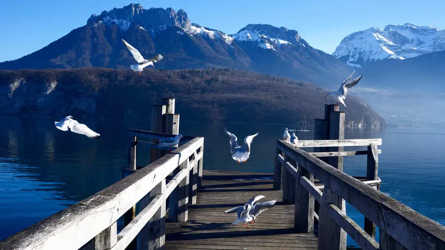 Restaurant bar lounge Lac et Montagne