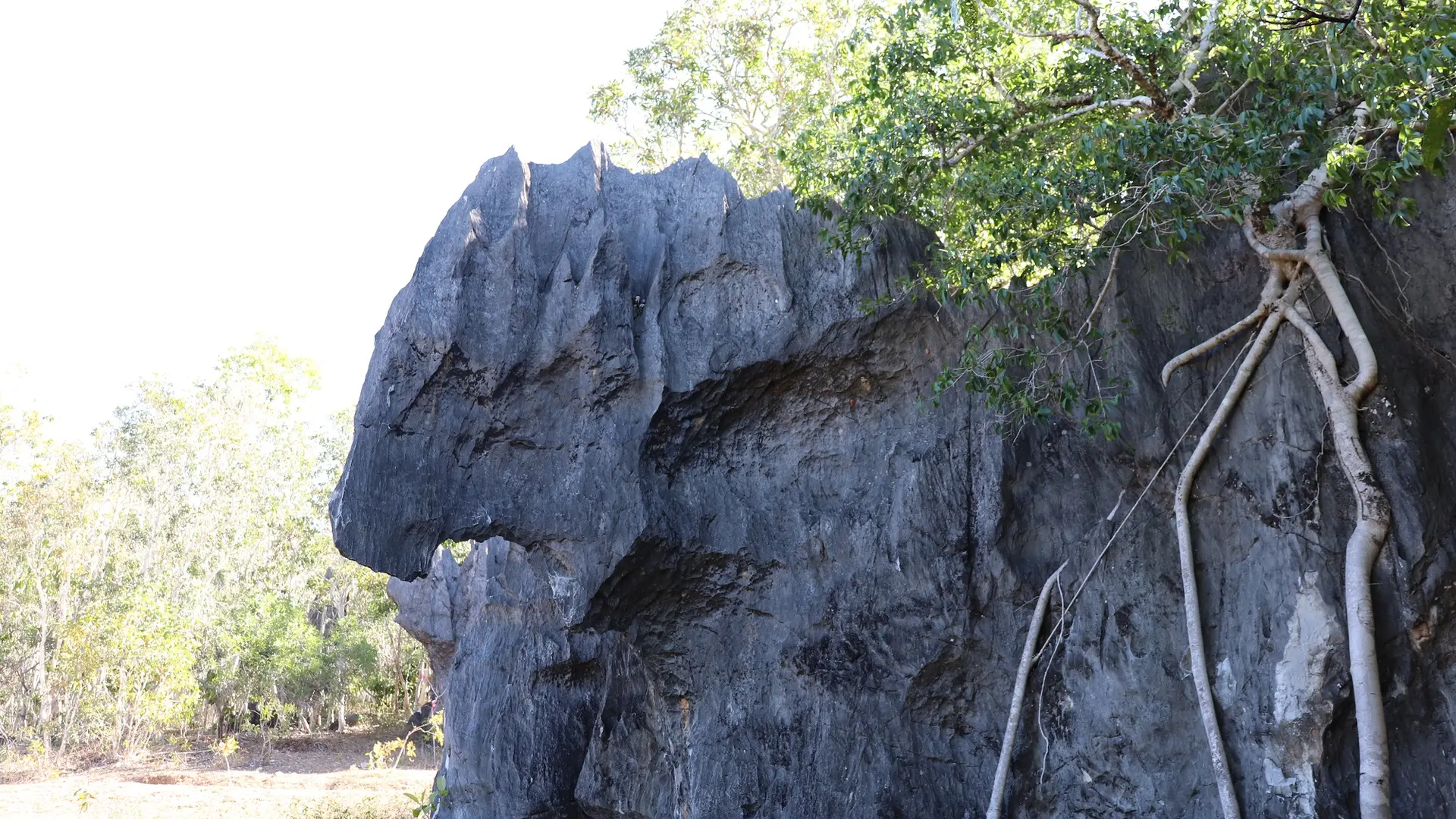 Randonnée Haute Néhoué