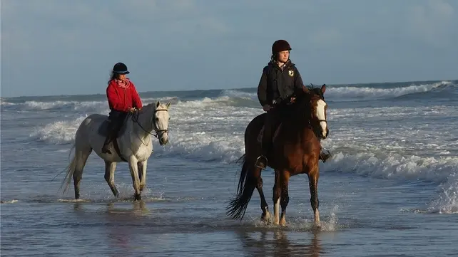 Balade sur la plage