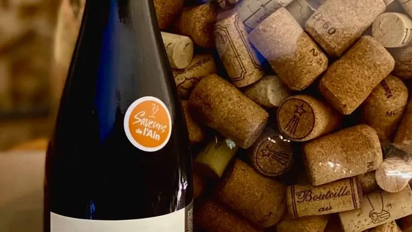 Cerdon Méthode Ancestrale Bio Bertrand-Chapel