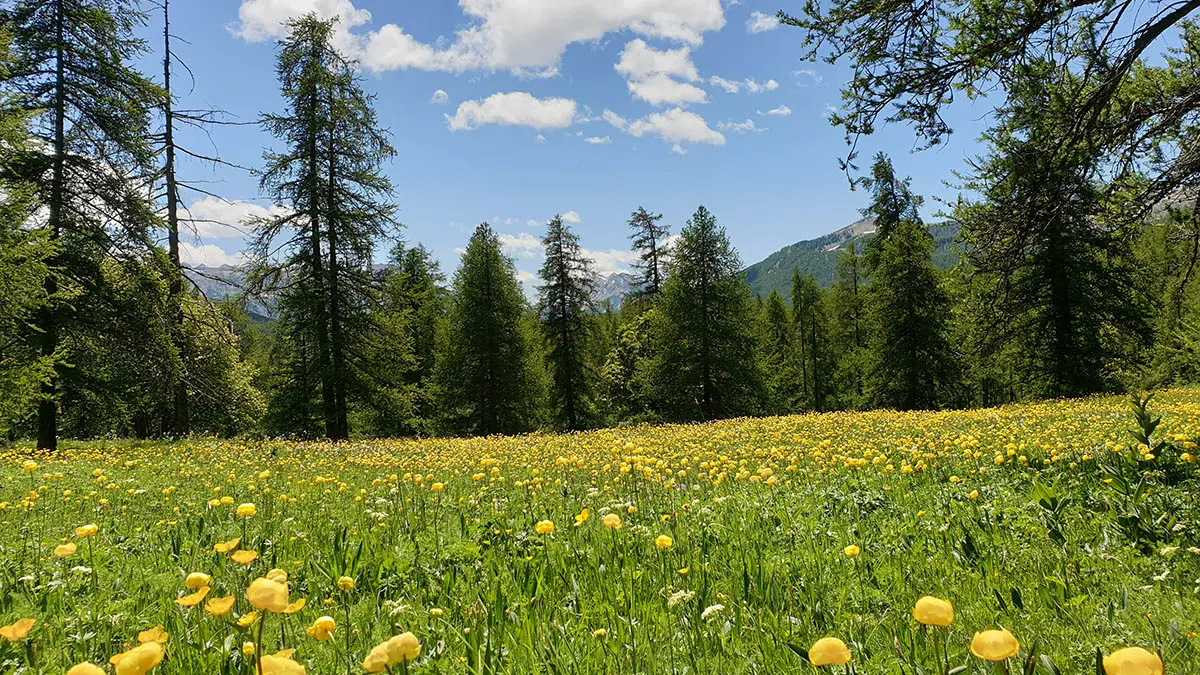 Montée au lac des grenouilles