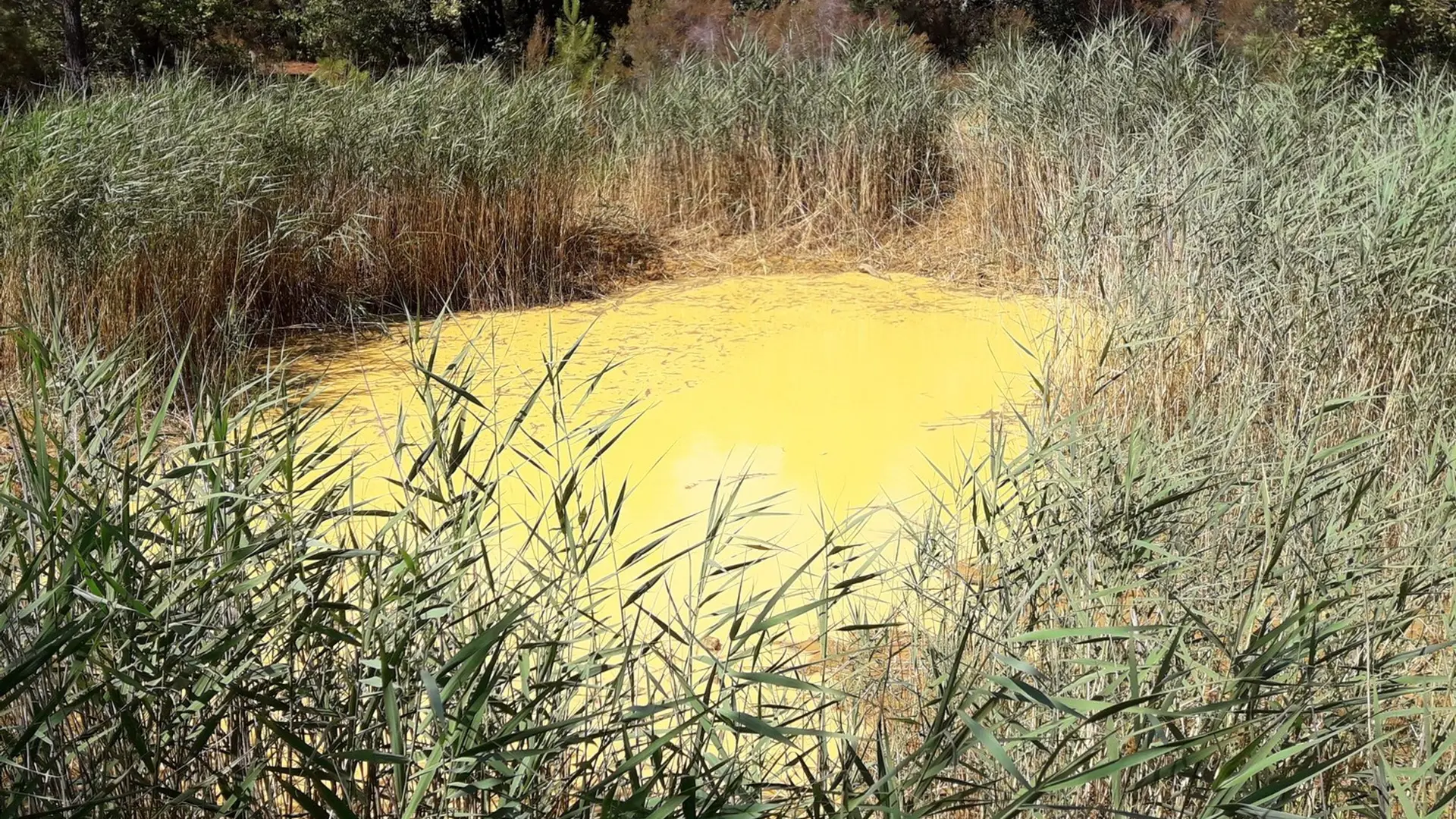 Mare du Trou des Américains